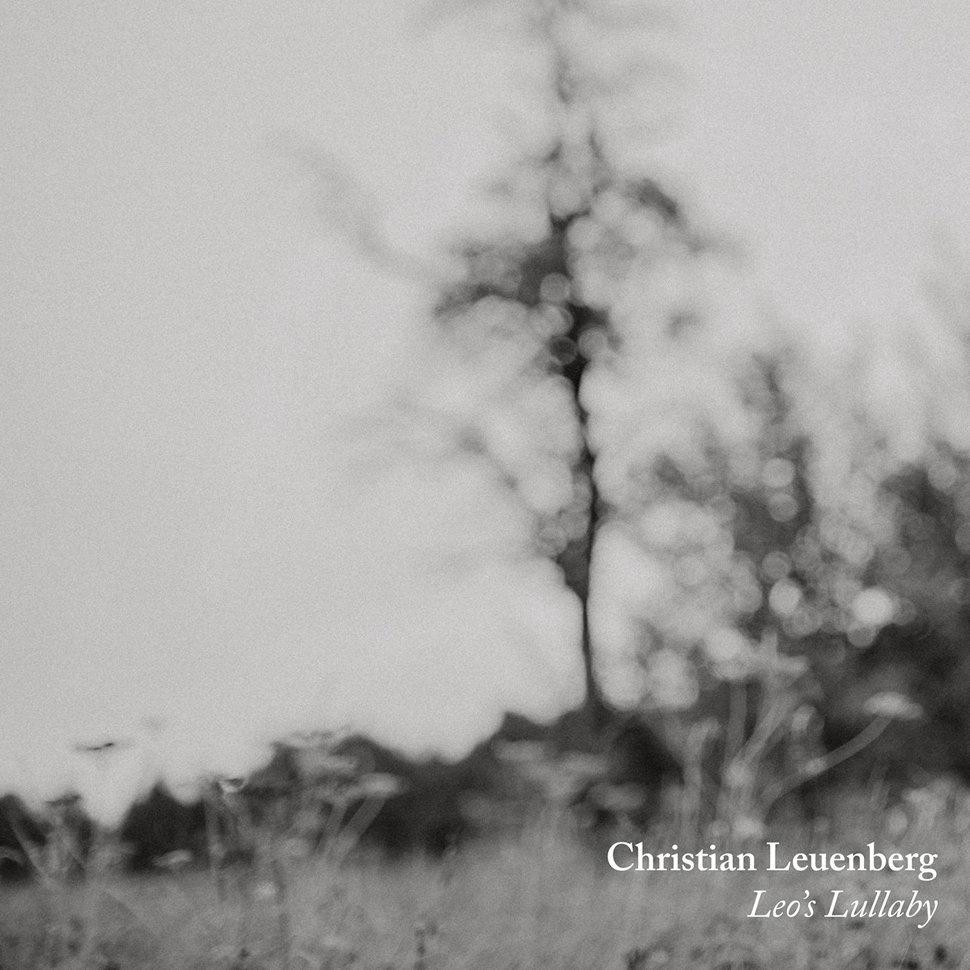 Leo's Lullaby cover art